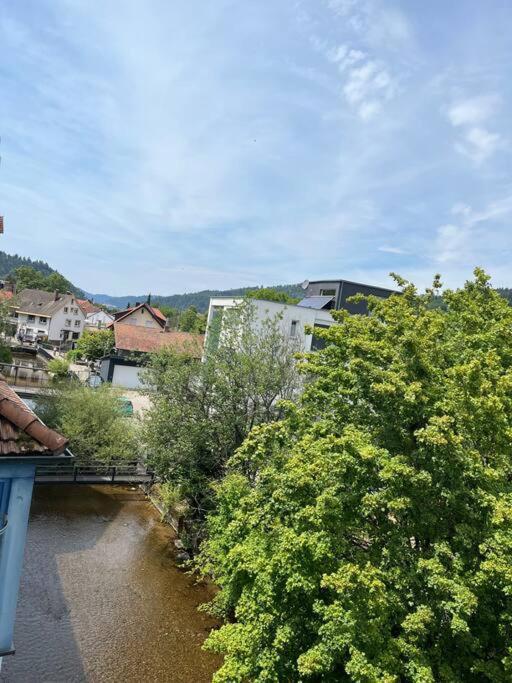 Loewen Appartement Hausach Kültér fotó